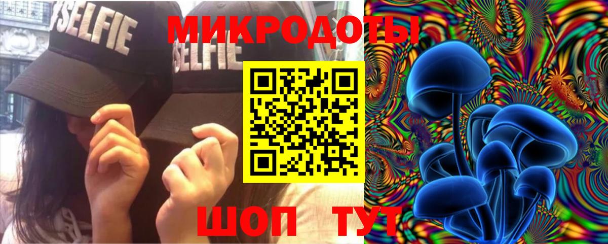 купить   Вход с VPN  Будённовск  Псилоцибиновые грибы Magic Shrooms 