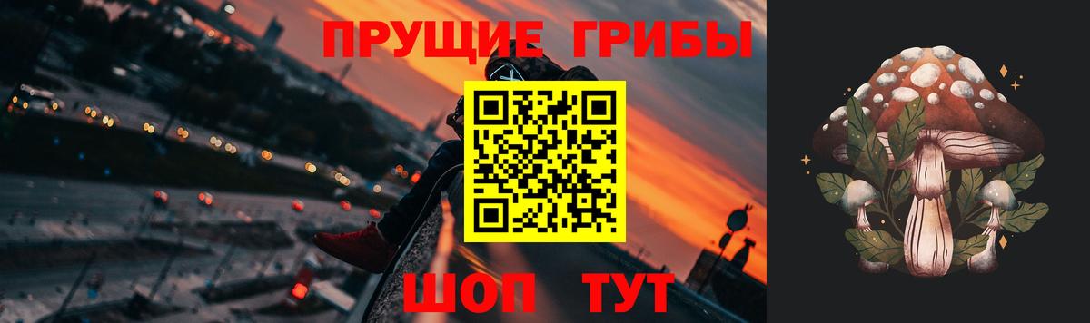 Псилоцибиновые грибы MAGIC MUSHROOMS Будённовск